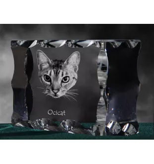 Ocicat - crystal with a cat picture, glass statuette with a picture, unique frame with a picture from Art-Dog brand