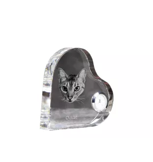 Ocicat - Kristalluhr mit Katzenbild, Herzregal-Uhr, personalisierte Standuhr von Art-Dog.