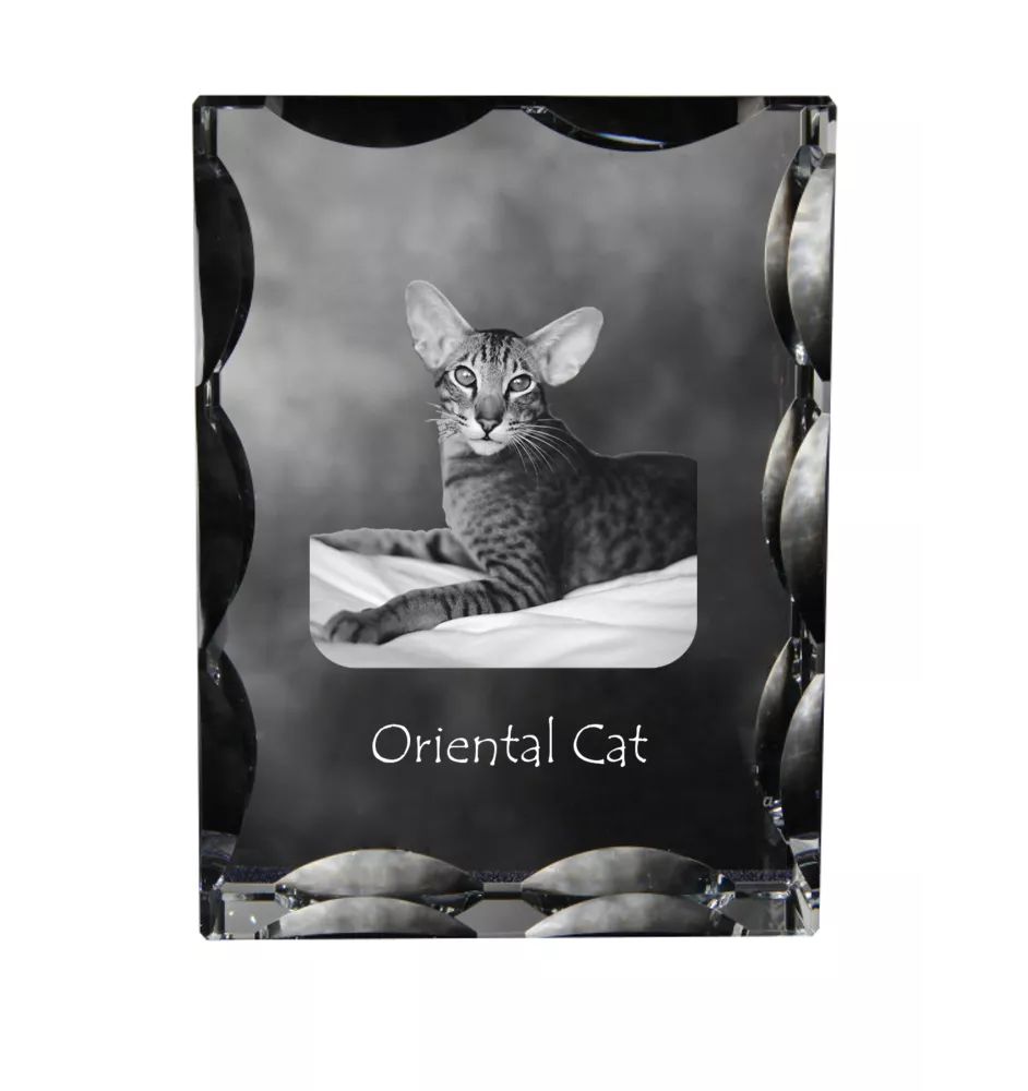 Oriental Cat - crystal with a cat picture, glass statuette with a picture, unique frame with a picture from Art-Dog brand
