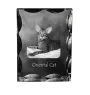 Chat oriental - cristal avec une photo de chat, une statuette en verre avec une photo, un cadre exceptionnel avec une photo de la marque Art-Dog