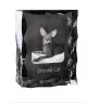 Oriental Cat - crystal with a cat picture, glass statuette with a picture, unique frame with a picture from Art-Dog brand