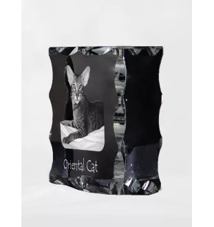 Chat oriental - cristal avec une photo de chat, une statuette en verre avec une photo, un cadre exceptionnel avec une photo de la marque Art-Dog