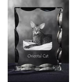 Chat oriental - cristal avec une photo de chat, une statuette en verre avec une photo, un cadre exceptionnel avec une photo de la marque Art-Dog
