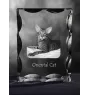 Chat oriental - cristal avec une photo de chat, une statuette en verre avec une photo, un cadre exceptionnel avec une photo de la marque Art-Dog