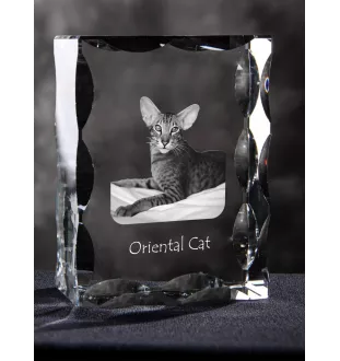 Chat oriental - cristal avec une photo de chat, une statuette en verre avec une photo, un cadre exceptionnel avec une photo de la marque Art-Dog