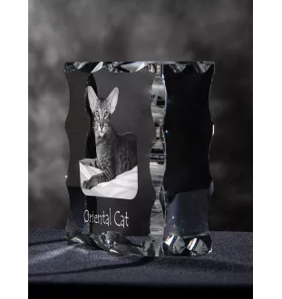 Chat oriental - cristal avec une photo de chat, une statuette en verre avec une photo, un cadre exceptionnel avec une photo de la marque Art-Dog