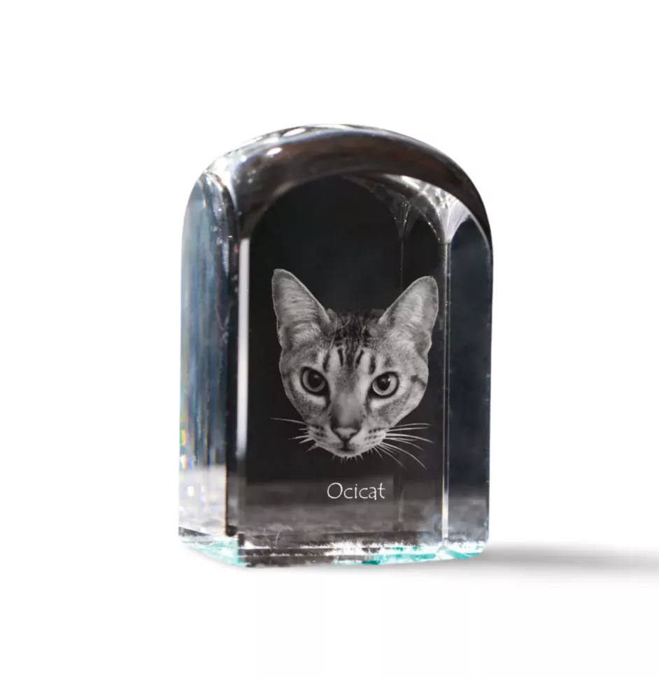Ocicat - crystal cube with a photo, photo of a cat in crystal, cubic paperweight from Art-Dog brand