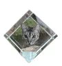 Ocicat - crystal cube with a picture of a cat, crystal with a picture of a horse, cubic paperweight by Art-Dog brand