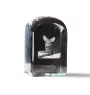 Oriental Cat - crystal cube with a photo, photo of a cat in crystal, cubic paperweight from Art-Dog brand