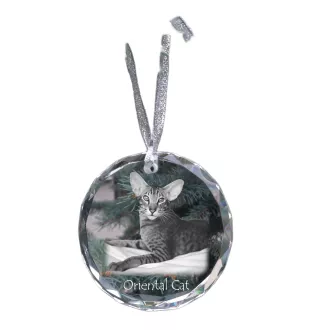 Chat oriental - boule de Noël en cristal avec une photo, photo d'un chat dans le cristal, décoration personnalisée pour sapin de Noël de la marque Art-Dog