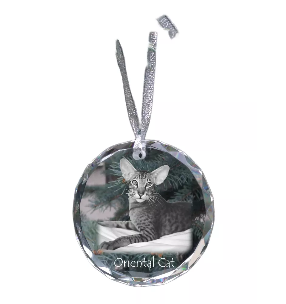 Oriental Cat - crystal bauble with a photo, photo of a cat in crystal, personalized Christmas tree ornament by Art-Dog brand