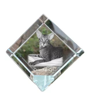 Orientalische Katze - Kristallwürfel mit Katzenbild, Pferdebild im Kristall, sechseckiger Papierclip von der Marke Art-Dog