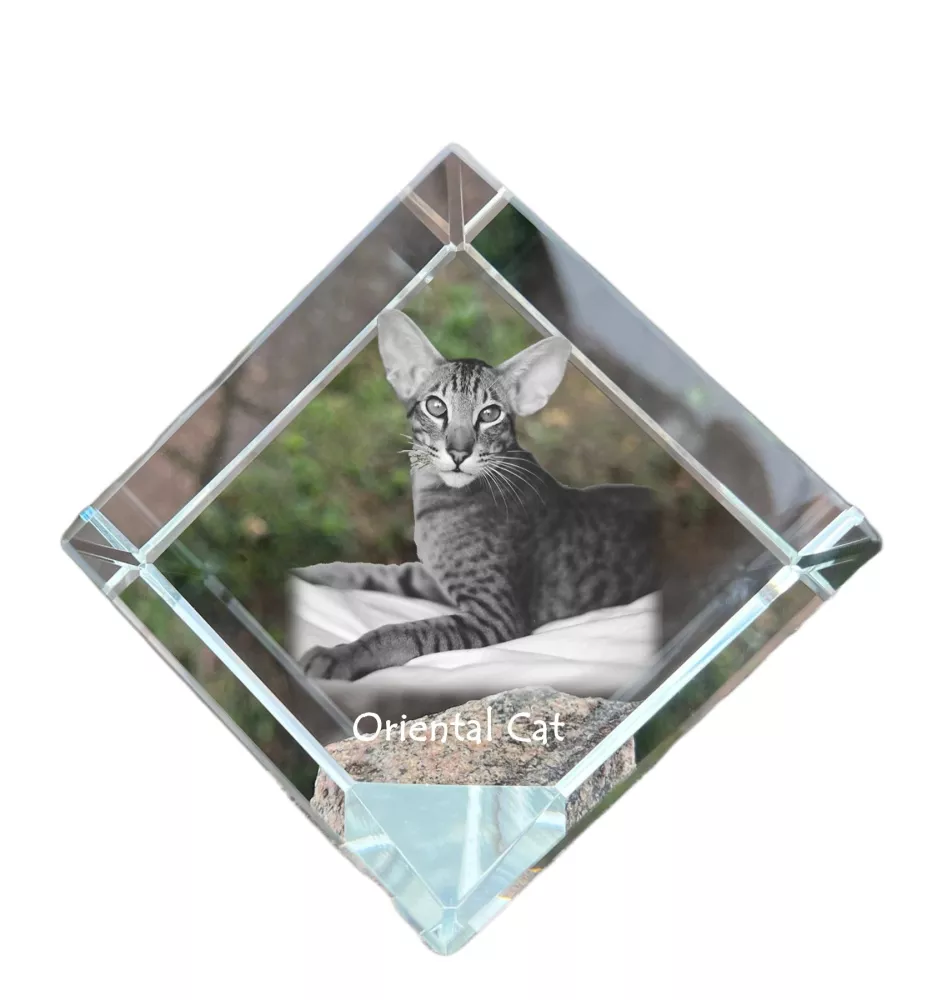 Orientalische Katze - Kristallwürfel mit Katzenbild, Pferdebild im Kristall, sechseckiger Papierclip von der Marke Art-Dog