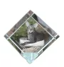 Orientalische Katze - Kristallwürfel mit Katzenbild, Pferdebild im Kristall, sechseckiger Papierclip von der Marke Art-Dog
