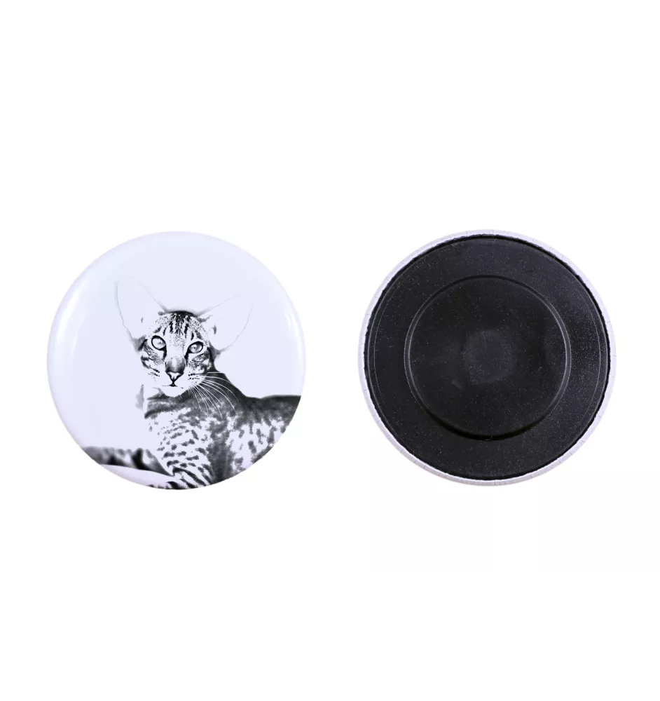 Chat oriental - collection de magnets uniques, photo personnelle, marque Art-Dog