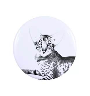 Oriental Cat - collection of unique magnets, own photo, Art-Dog brand