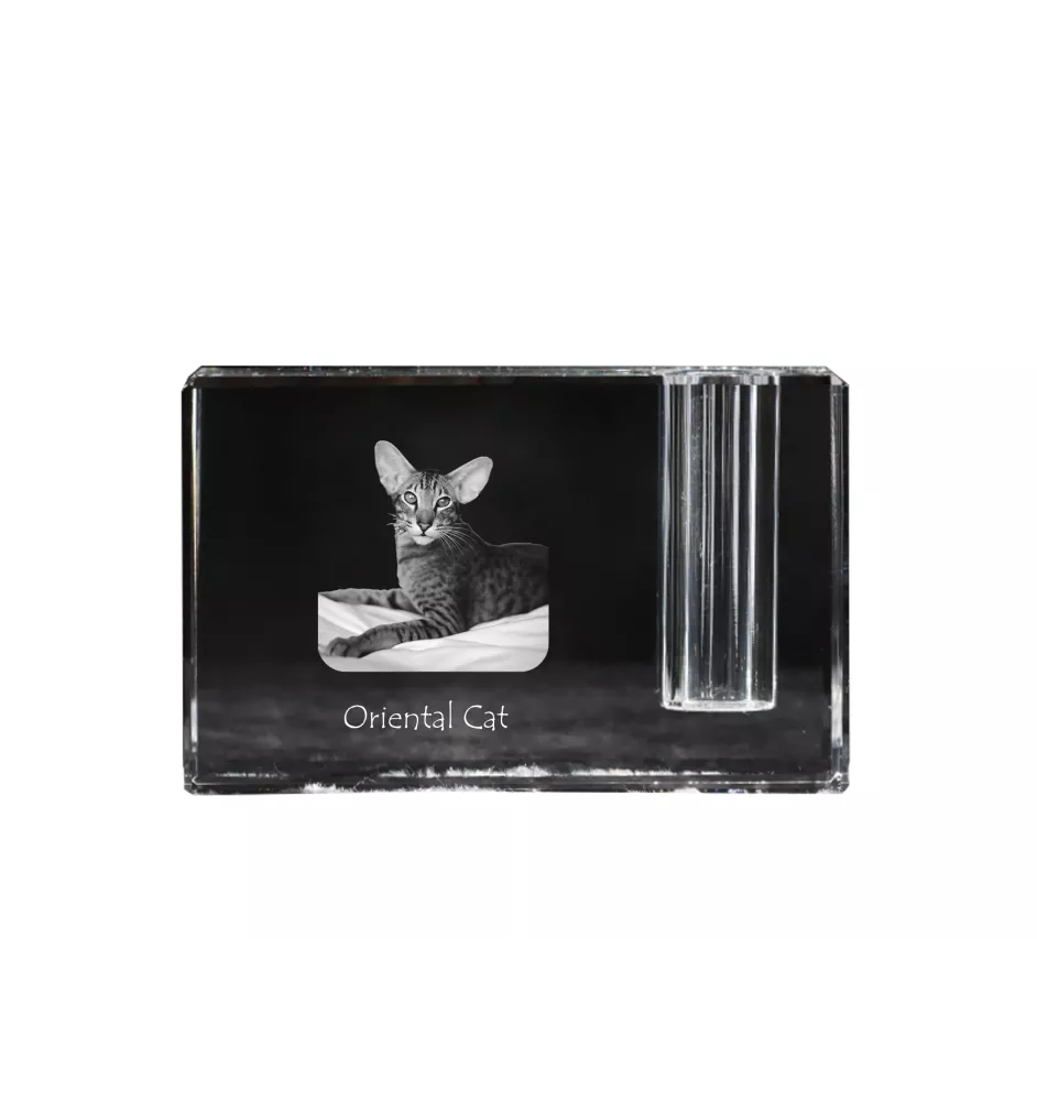 Chat oriental - Porte-stylos, organiseur en cristal avec photo de chat, décoration de bureau unique par la marque Art-Dog