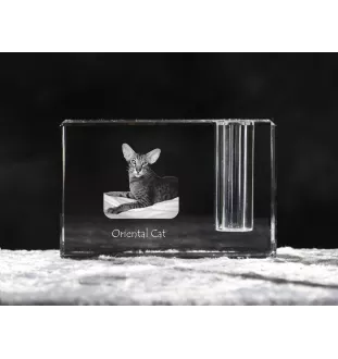 Chat oriental - Porte-stylos, organiseur en cristal avec photo de chat, décoration de bureau unique par la marque Art-Dog