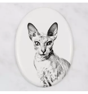 Peterbald - une plaque commémorative avec une photo de chat, une plaque funéraire avec une impression, une plaque ovale personnalisée de la marque Art-Dog