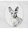 Peterbald - une plaque commémorative avec une photo de chat, une plaque funéraire avec une impression, une plaque ovale personnalisée de la marque Art-Dog