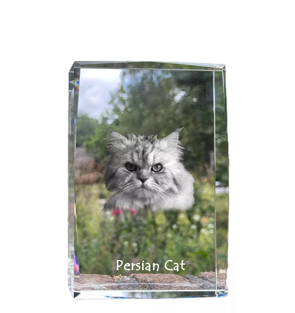 Chat persan - cristal avec une photo de chat, photo sous verre, exposition moderne de la marque de photos Art-Dog