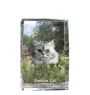 Chat persan - cristal avec une photo de chat, photo sous verre, exposition moderne de la marque de photos Art-Dog