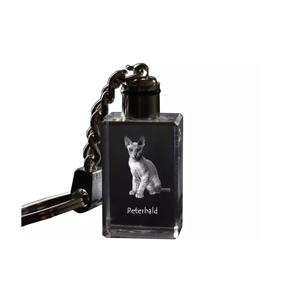 Peterbald - Crystal pendant with cat photo, illuminated pendant, unique gift by Art-Dog brand
