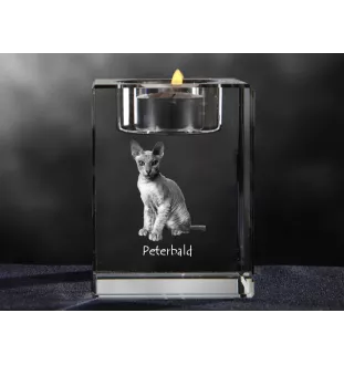 Peterbald - Kerzenhalter mit Katzenfoto, Teelichthalter aus Kristall, personalisiertes Geschenk der Marke Art-Dog