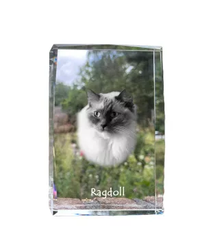 Ragdoll - cristal avec une photo de chat, photo sous verre, exposition moderne de la marque de photos Art-Dog