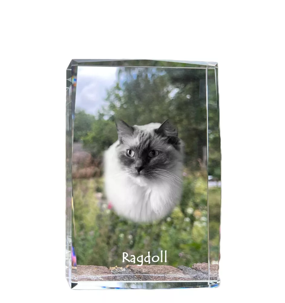 Ragdoll kryształ z kotem Art-Dog