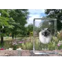 Ragdoll - cristal avec une photo de chat, photo sous verre, exposition moderne de la marque de photos Art-Dog