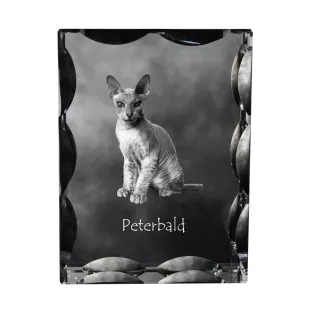 Peterbald - crystal with a cat picture, glass statuette with a picture, unique frame with a picture from Art-Dog brand