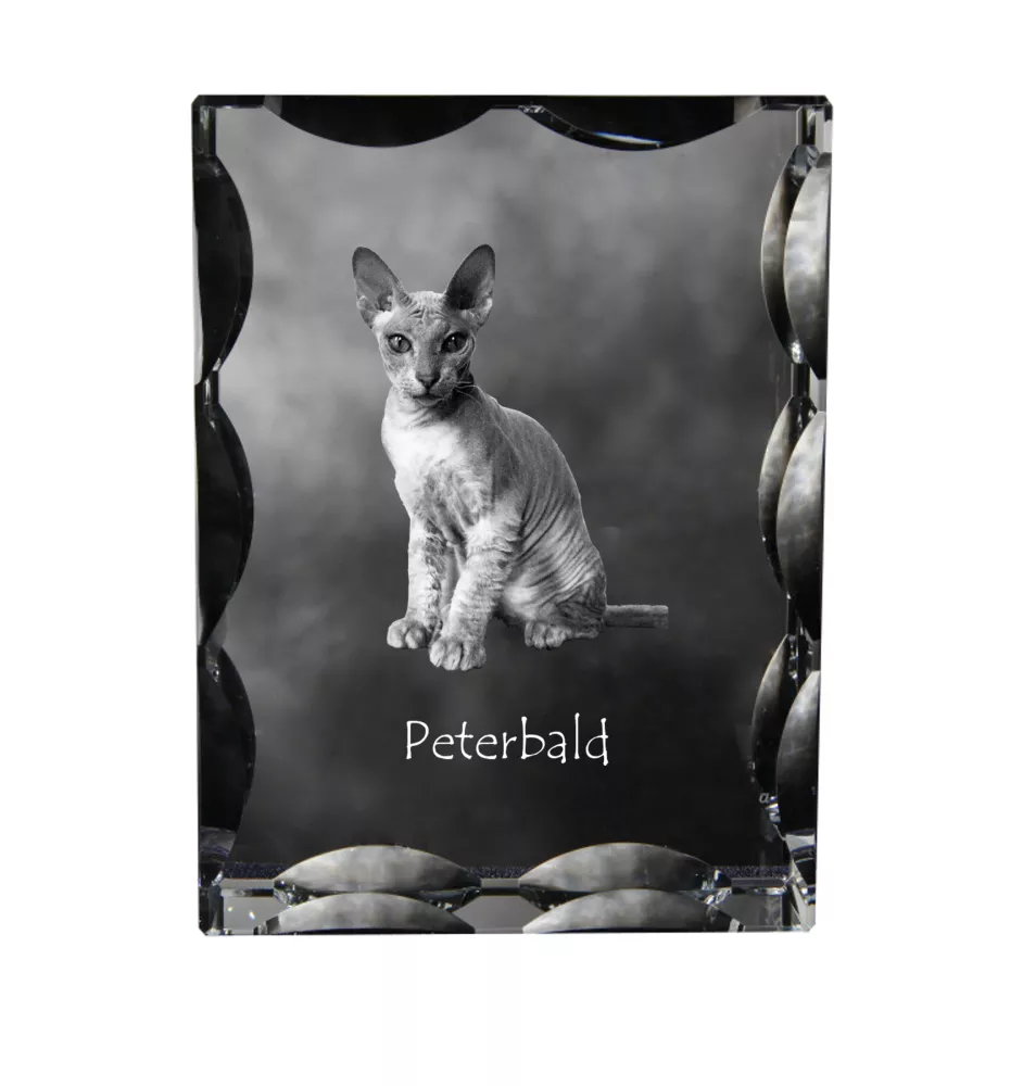 Peterbald - crystal with a cat picture, glass statuette with a picture, unique frame with a picture from Art-Dog brand