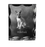 Peterbald - crystal with a cat picture, glass statuette with a picture, unique frame with a picture from Art-Dog brand