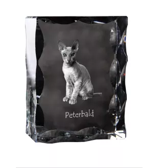 Peterbald - crystal with a cat picture, glass statuette with a picture, unique frame with a picture from Art-Dog brand