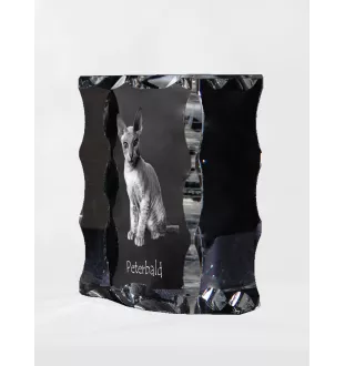 Peterbald - crystal with a cat picture, glass statuette with a picture, unique frame with a picture from Art-Dog brand