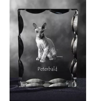 Peterbald - Kristall mit Katzenbild, Glasstatuette mit Bild, einzigartiger Bilderrahmen der Marke Art-Dog