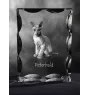 Peterbald - cristal avec une photo de chat, une statuette en verre avec une photo, un cadre exceptionnel avec une photo de la marque Art-Dog