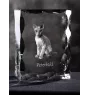 Peterbald - crystal with a cat picture, glass statuette with a picture, unique frame with a picture from Art-Dog brand