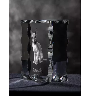 Peterbald ramka kryształowa z kotem Art-Dog