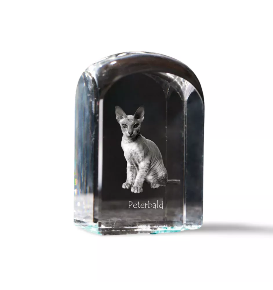 Peterbald - crystal cube with a photo, photo of a cat in crystal, cubic paperweight from Art-Dog brand