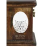 Persian Cat - commemorative plaque with a cat photo, tombstone with a print, personalized oval plaque from the Art-Dog brand