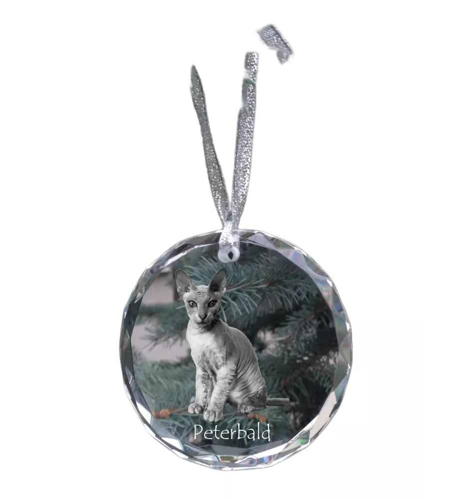 Peterbald - boule de Noël en cristal avec une photo, photo d'un chat dans le cristal, décoration personnalisée pour sapin de Noël de la marque Art-Dog