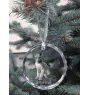 Peterbald - crystal bauble with a photo, photo of a cat in crystal, personalized Christmas tree ornament by Art-Dog brand