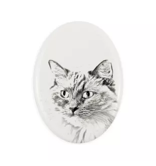 Ragdoll płyta nagrobna ze zdjęciem kota Art-Dog