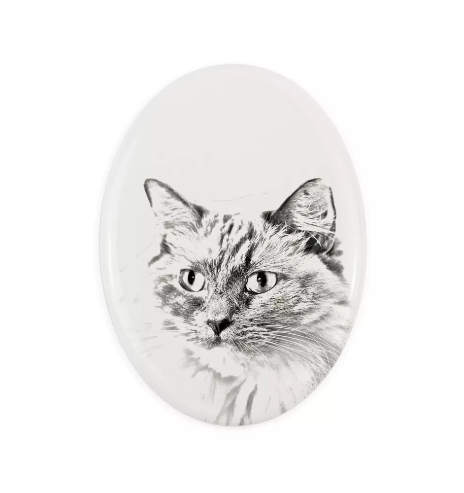Ragdoll - une plaque commémorative avec une photo de chat, une plaque funéraire avec une impression, une plaque ovale personnalisée de la marque Art-Dog