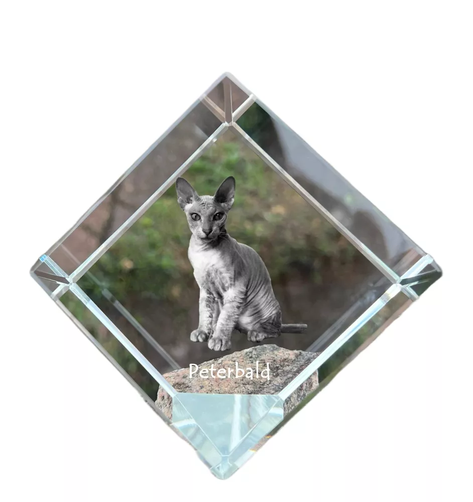 Peterbald kostka kryształowa z kotem Art-Dog