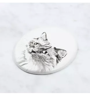 Ragdoll - une plaque commémorative avec une photo de chat, une plaque funéraire avec une impression, une plaque ovale personnalisée de la marque Art-Dog
