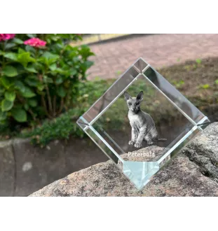 Peterbald - un cube en cristal avec une photo de chat, une photo de cheval dans le cristal, un presse-papiers cubique de la marque Art-Dog