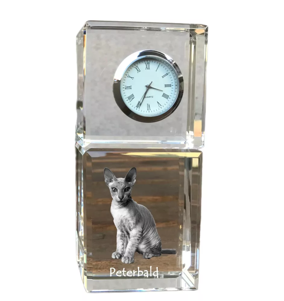 Peterbald - crystal clock with a photo, photo of a cat in crystal, personalized desk clock by Art-Dog brand